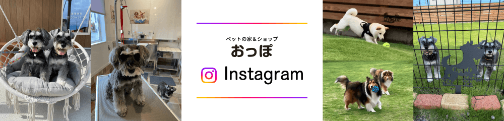 おっぽインスタグラム